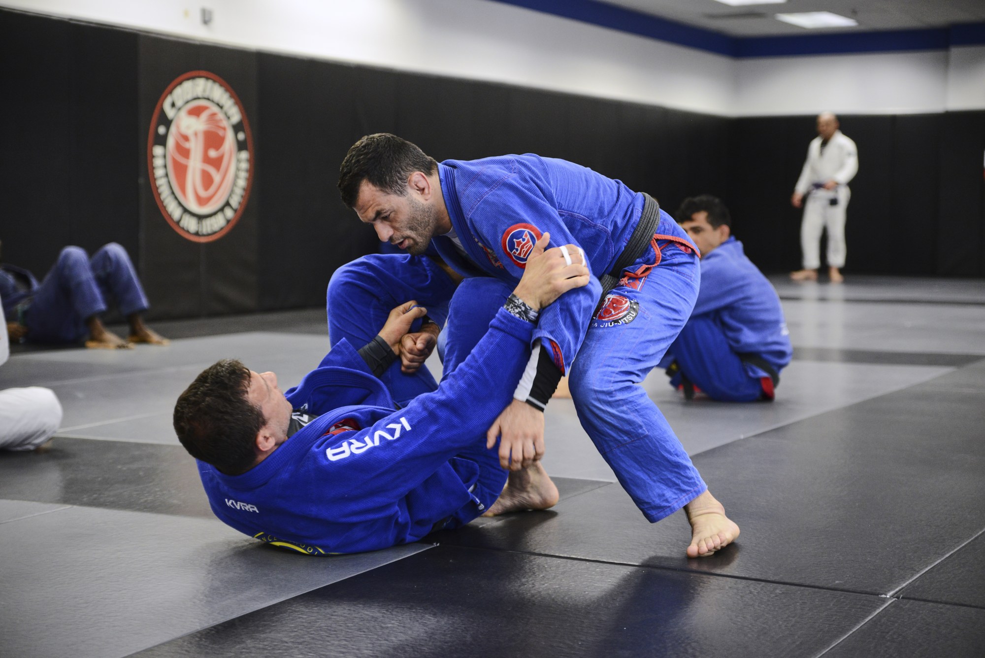 Discovering the Basics: What Awaits You at Cobrinha BJJ