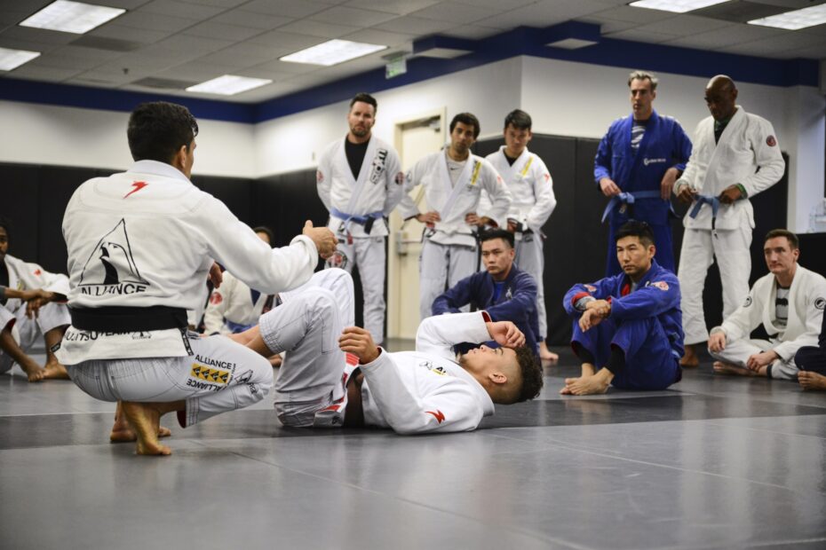 adult brazilian jiu-jitsu classes at Cobrinha BJJ