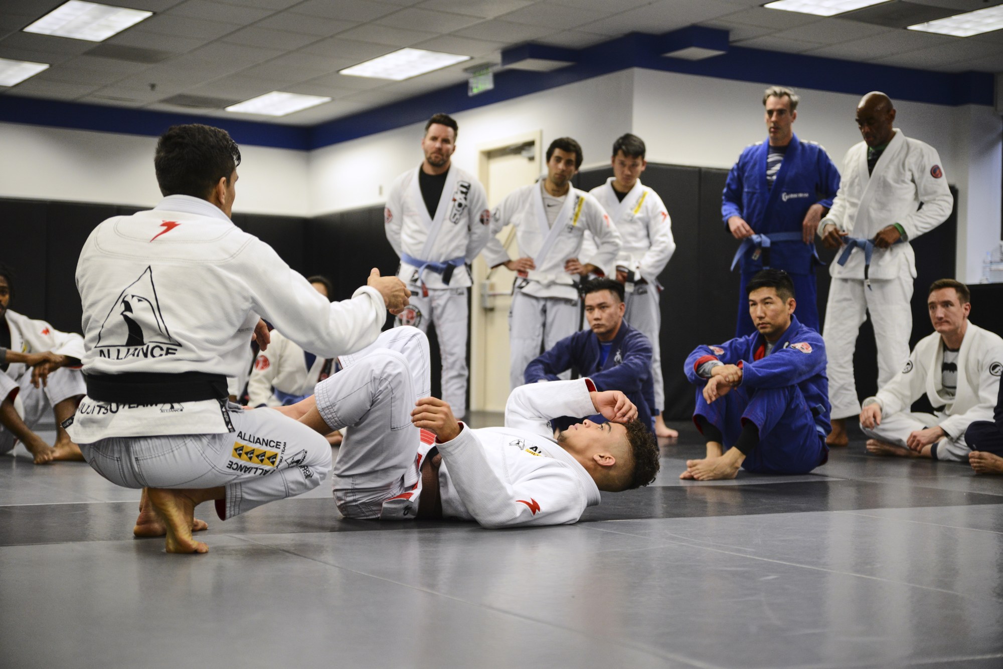 adult brazilian jiu-jitsu classes at Cobrinha BJJ