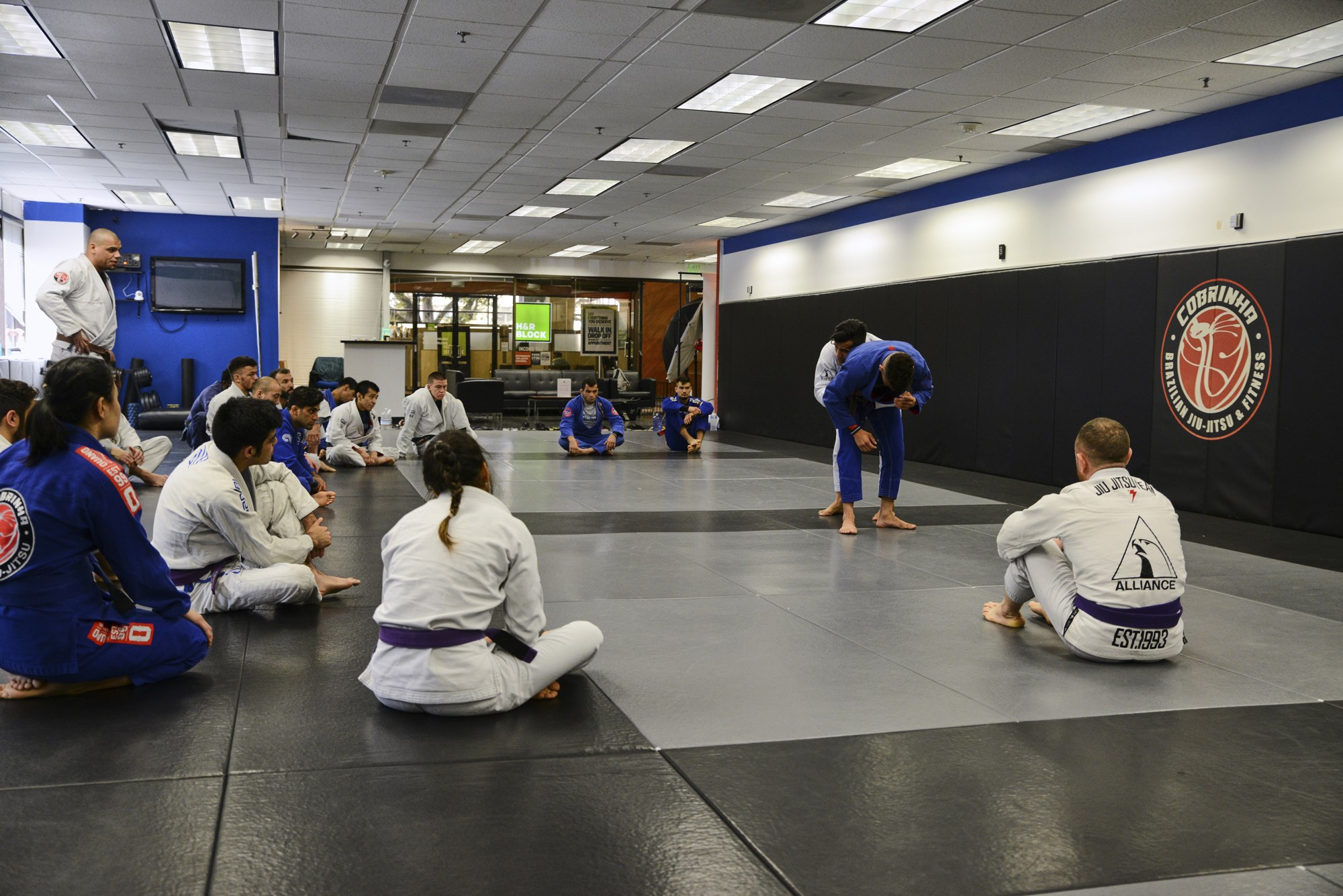 bjj vs wrestling which is better for self defense at Cobrinha BJJ
